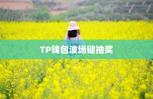 TP钱包波场键抽奖