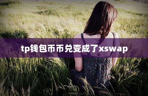 tp钱包币币兑变成了xswap