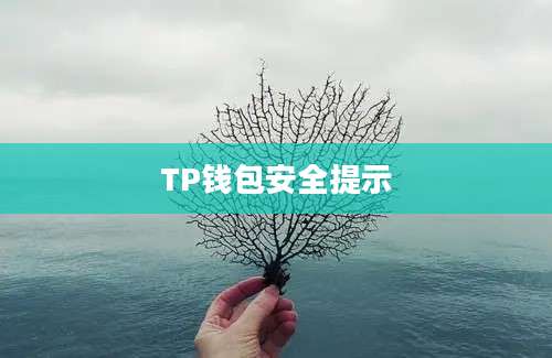 TP钱包安全提示