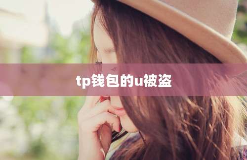 tp钱包的u被盗