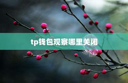 tp钱包观察哪里关闭