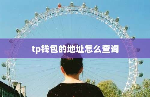 tp钱包的地址怎么查询