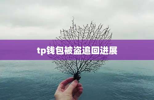 tp钱包被盗追回进展