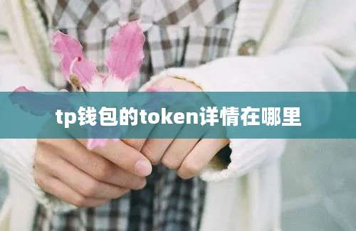 tp钱包的token详情在哪里