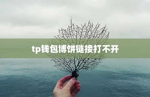 tp钱包博饼链接打不开