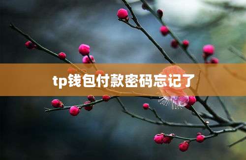 tp钱包付款密码忘记了