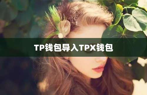 TP钱包导入TPX钱包