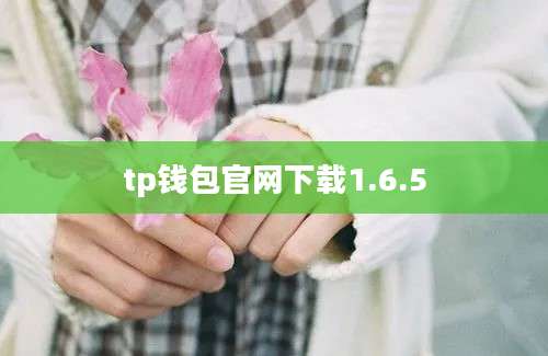 tp钱包官网下载1.6.5