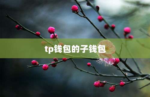 tp钱包的子钱包