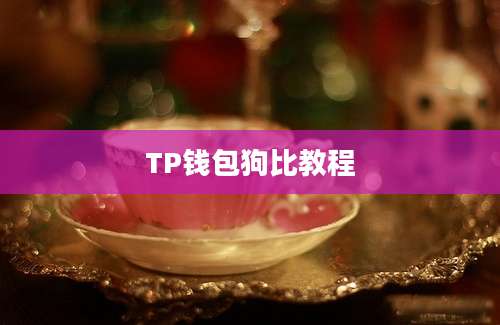 TP钱包狗比教程