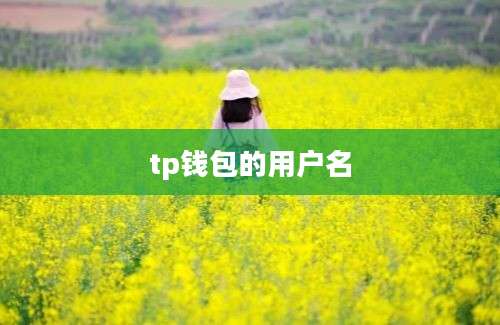 tp钱包的用户名