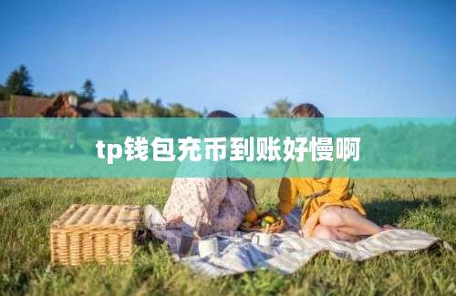 tp钱包充币到账好慢啊