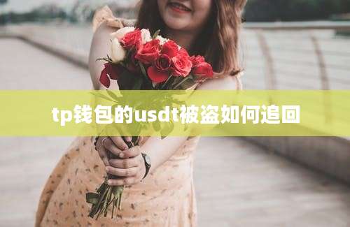 tp钱包的usdt被盗如何追回