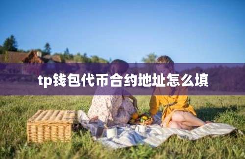 tp钱包代币合约地址怎么填