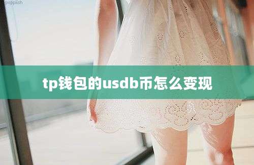 tp钱包的usdb币怎么变现