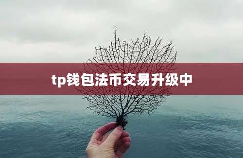 tp钱包法币交易升级中