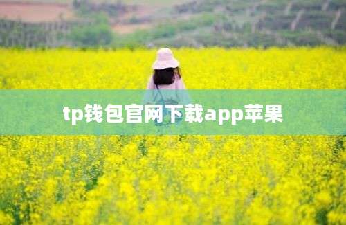 tp钱包官网下载app苹果