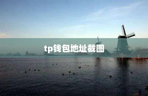 tp钱包地址截图