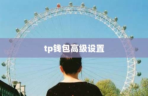 tp钱包高级设置