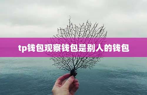 tp钱包观察钱包是别人的钱包