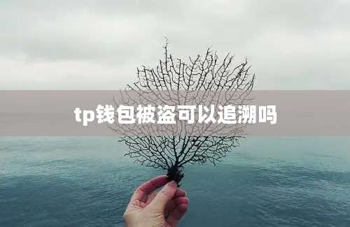 tp钱包被盗可以追溯吗