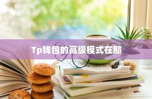 Tp钱包的高级模式在那