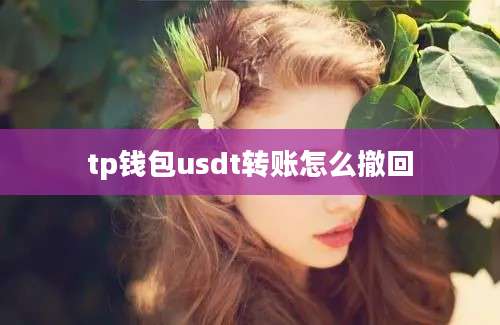 tp钱包usdt转账怎么撤回