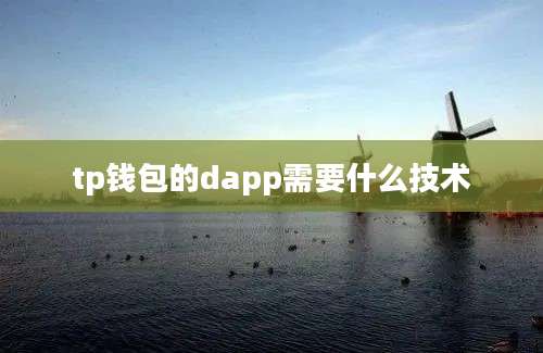 tp钱包的dapp需要什么技术