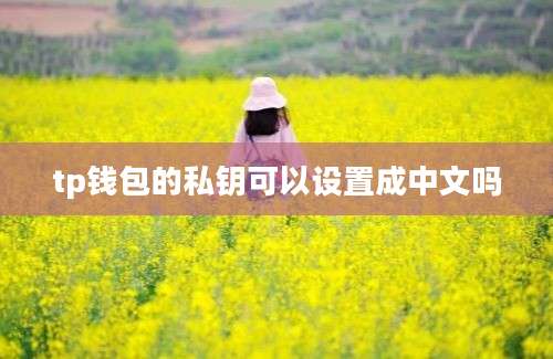 tp钱包的私钥可以设置成中文吗