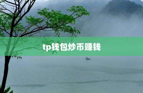 tp钱包炒币赚钱