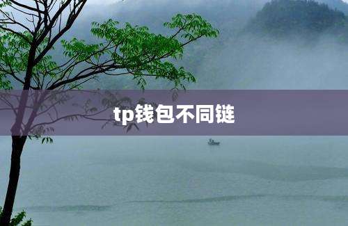 tp钱包不同链