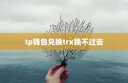 tp钱包兑换trx换不过去