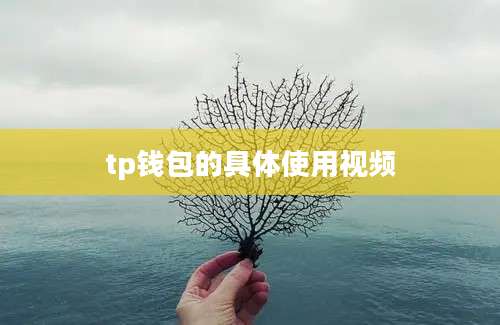 tp钱包的具体使用视频