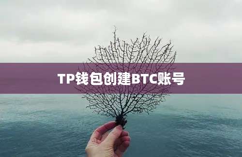 TP钱包创建BTC账号