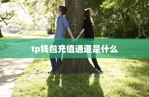 tp钱包充值通道是什么