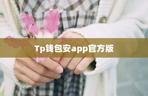 Tp钱包安app官方版