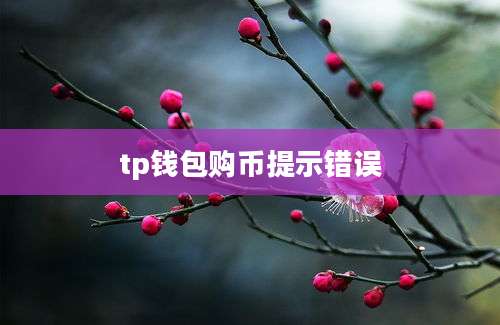 tp钱包购币提示错误