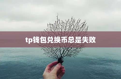 tp钱包兑换币总是失败