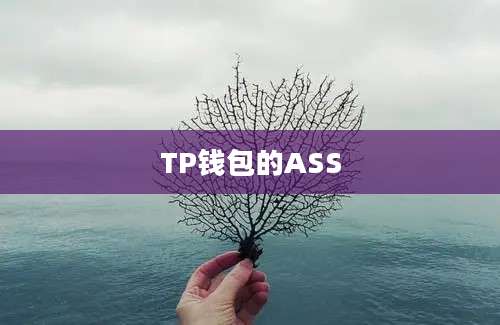 TP钱包的ASS