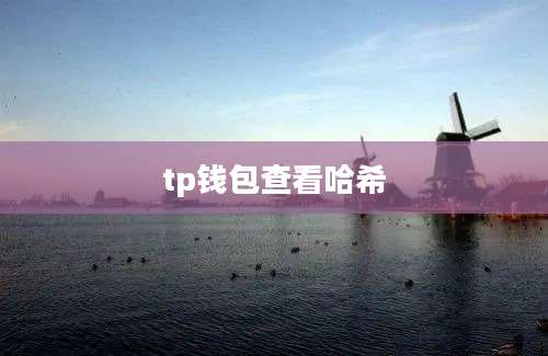 tp钱包查看哈希