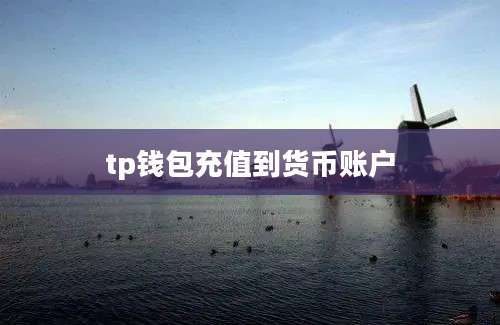 tp钱包充值到货币账户