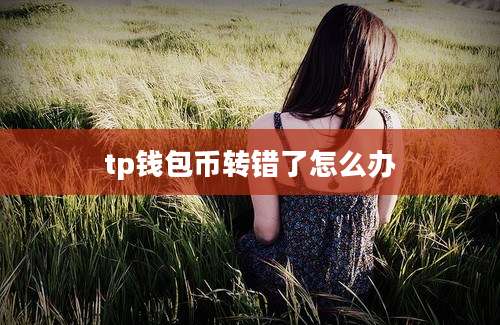 tp钱包币转错了怎么办