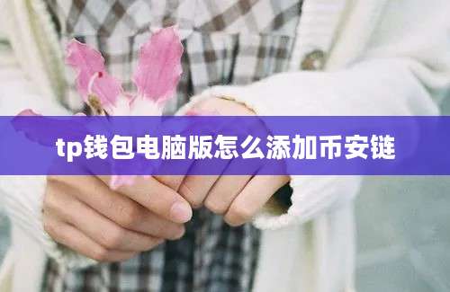 tp钱包电脑版怎么添加币安链