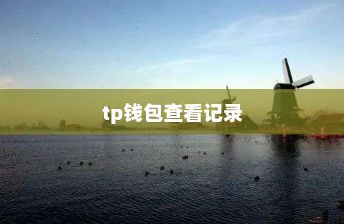 tp钱包查看记录