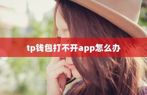 tp钱包打不开app怎么办