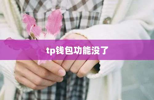 tp钱包功能没了