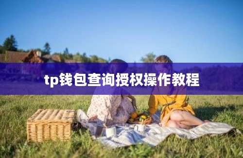 tp钱包查询授权操作教程