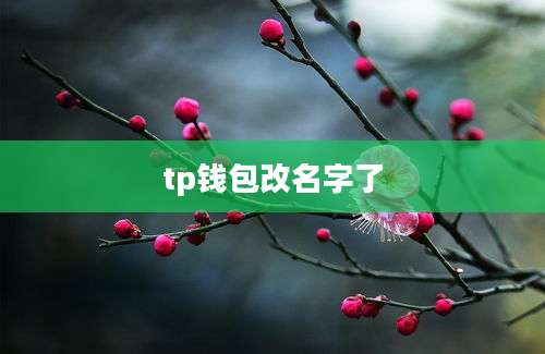 tp钱包改名字了