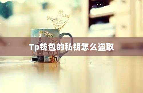 Tp钱包的私钥怎么盗取