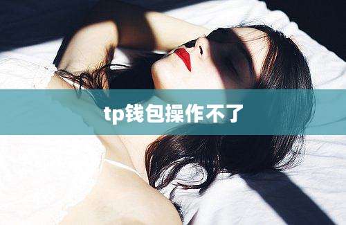 tp钱包操作不了